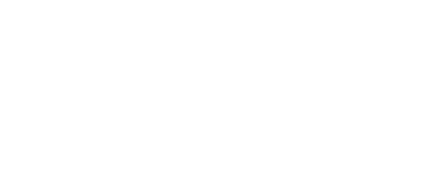 TMS Pulse